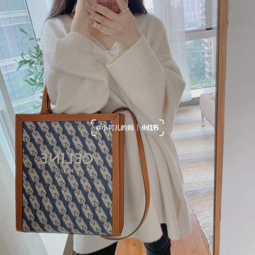 Celine SAC TEEN TRIOMPHE EN TOILE TRIOMPHE ET CUIR DE VEAU CL91041 bleu