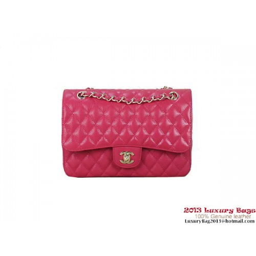 Chanel 2.55 Sac à Rabat Classique Rose Motifs Original Cannage Doré