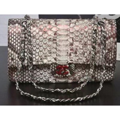 Chanel 2.55 Series Flap Bags Grey Original Python Leather A1112SA Argent