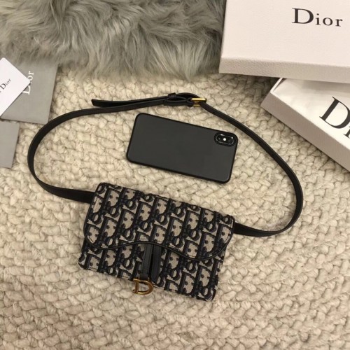 Sac ceinture DIOR Oblique D26988