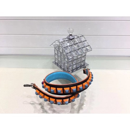 Fendi Longue Bandoulière FD025