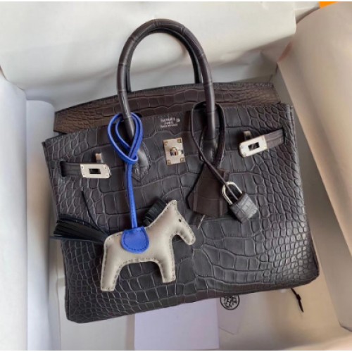 Hermes Birkin 25CM Tote Bag Cuir Croco Original H25TCO Gris