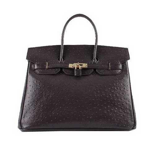 Hermes Birkin 35CM Sacs fourre-tout en cuir d'autruche marron foncé H6089 Or