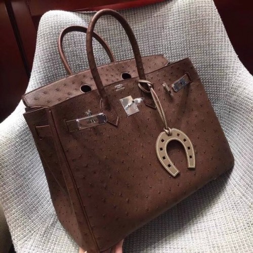 Sac Birkin en cuir d'autruche véritable Hermes BK35 Chocolats