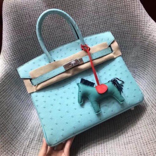 Hermès sac birkin en cuir d'autruche véritable BK35 bleu ciel