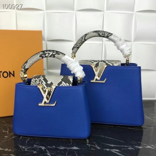 Louis Vuitton CAPUCINES MINI M99676 bleu