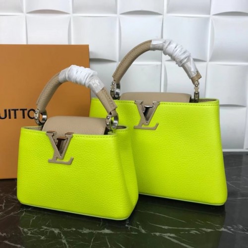 Louis Vuitton CAPUCINES PM M57519 jaune&gris