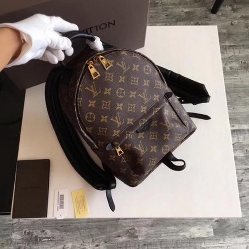 Louis Vuitton Monogram Canvas SAC À DOS PALM SPRINGS PM M41560