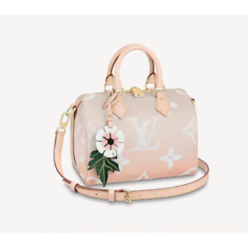 Louis Vuitton SPEEDY BANDOULIERE 25 M45722 Brume Gris