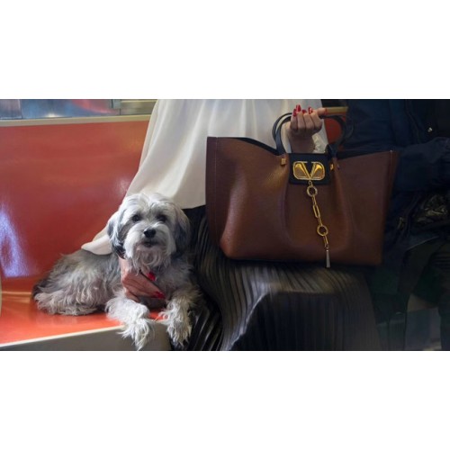 VALENTINO Cabas en cuir d'origine 2080 marron